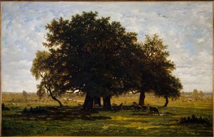 Gruppo di querce, Apremont