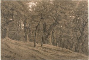 Nella foresta di Fontainbleau da Theodore Rousseau