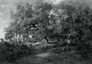 Paesaggio da Theodore Rousseau