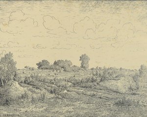 La Plaine de La Plante a Biau da Theodore Rousseau