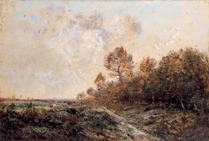 Il bordo di un bosco