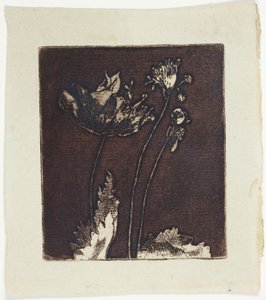 Ultimi papaveri da Theodore Roussel