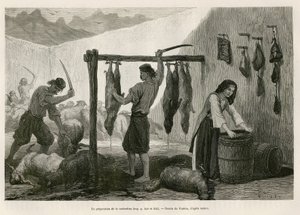 La preparazione della castradina, specialità di carne di pecora e capra salata e affumicata, verso la fine di ottobre, in Dalmazia (Istria e Erzegovina (Croazia)), disegno di Valerio, per illustrare il viaggio in Montenegro, nel 1874, di Charles Yriarte. da Theodore Valerio