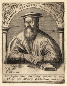 Conrad Gessner, medico svizzero da Theodore de Bry