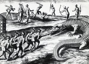 Caccia al coccodrillo in Florida, da dipinto di Jacques le Moyne de Morgues, di Theodor de Bry (incisione) da Theodore de Bry