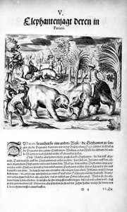 Elefanti che combattono, 1606