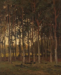 Veduta nel bosco