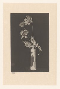 Fiori in un vaso con motivi cinesi