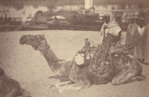 [ Un uomo nordafricano su un cammello sulla riva del Nilo]. da Théodule Devéria