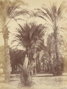 Gous da Théodule Devéria