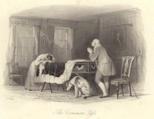 La perdita comune (incisione) da Thomas (after) Allom