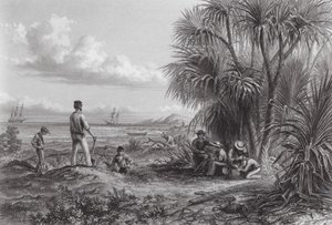 Australia: Campo di un Esploratore da Thomas (after) Baines