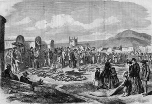 Mercato di avorio e pelli a Grahamstown, Albania, Colonia del Capo da Thomas (after) Baines