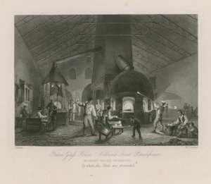 Falcon Glass House da Thomas Allom