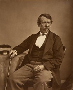 David Livingstone di Thomas Annan - Originale da Thomas Annan