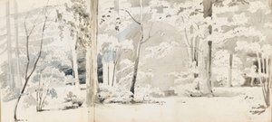 Un pergolato circondato da alberi da Thomas Baxter