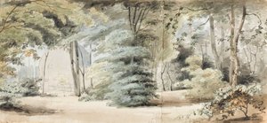 Parte dei giardini di Merton con un pergolato e alberi
