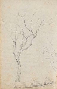Studio di piccoli alberi con arbusti bassi sotto di loro (verso) da Thomas Baxter