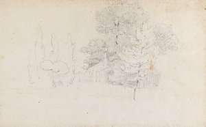 Studio di alberi e un piccolo edificio nei giardini di Merton Place
