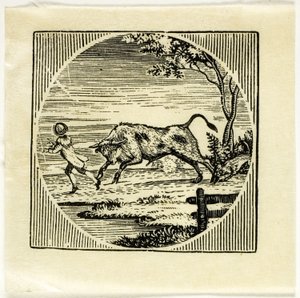 Illustrazione del libro da Thomas Bewick