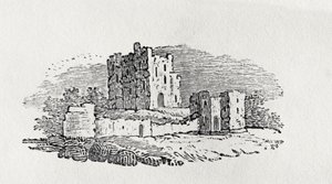 Rovine del castello da 
