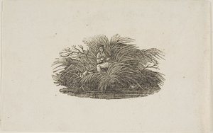 Finale: Uomo nel cespuglio da Thomas Bewick