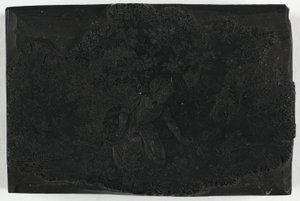 Tavola di legno per donna che raccoglie fiori da Thomas Bewick