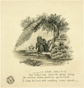 ...Tu vedova solitaria da Thomas Bewick