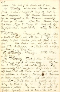 Diari di Thomas Butler Gunn - Volume 8, pagina 27, 13-17 luglio 1856