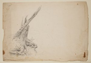 Tronco rotto di un albero da Thomas Cole