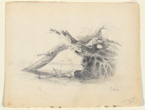 Schizzo di due alberi morti da Thomas Cole