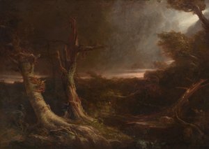 Tornado in una foresta americana