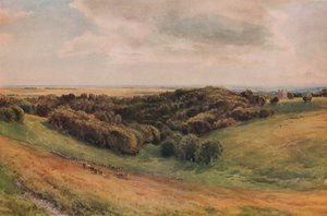 Parco di Arundel, 1874