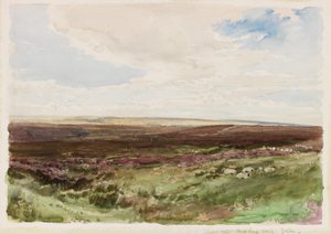 Brughiera vicino a Hart Leap Well, Yorkshire