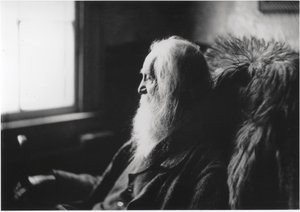 Walt Whitman a Camden, N.J., 1891 circa (stampa all