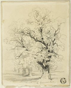 Ches[t]nut nel Parco di Greenwich da Thomas Creswick