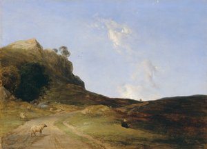 Paesaggio di brughiera