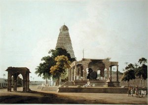 Il grande toro, un idolo indù, a Tanjore, tavola XXII da 