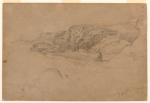 Studio dalla Natura