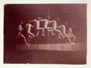 Fotografie della ruota di Marey di George Reynolds