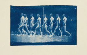 Fotografie della ruota di Marey di Jesse Godley, 1884