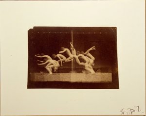 Fotografie di Marey Wheel di Modello Non Identificato