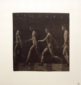 Fotografie della ruota di Marey di modello non identificato, ca. 1884