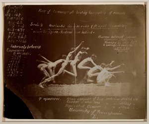 Fotografie della ruota di Marey di modello non identificato, con annotazioni di Eadweard Muybridge da Thomas Eakins