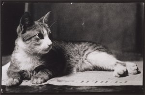  da Thomas Eakins