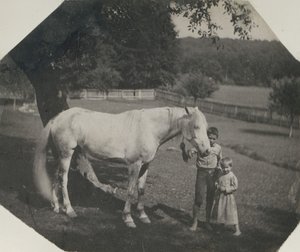 Il cavallo Billy di Thomas Eakins e due bambini Crowell ad Avondale, Pennsylvania, ca. 1892 da Thomas Eakins
