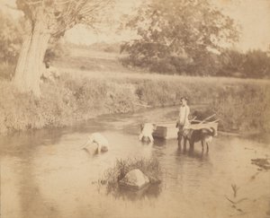 Tre bambini e un cane che giocano nel ruscello da Thomas Eakins