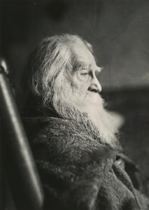 Walt Whitman a Camden, N.J., c. 1891