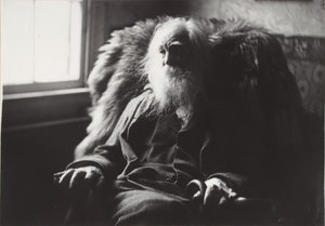 Walt Whitman a Camden, N.J. da Thomas Eakins