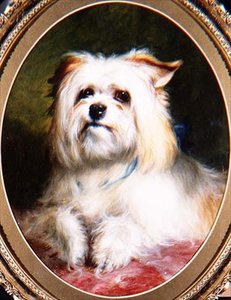 Uno sguardo vincente